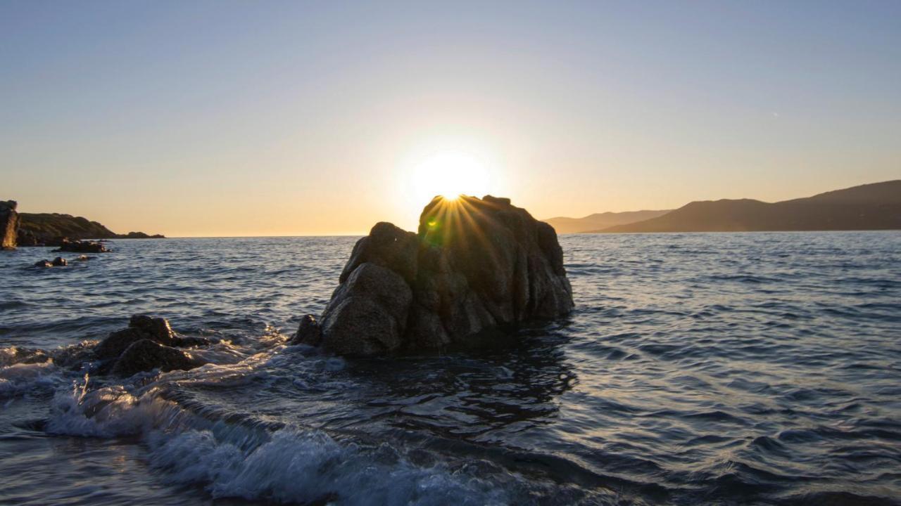 Propriano Proche Port Et Mer Szoba fotó